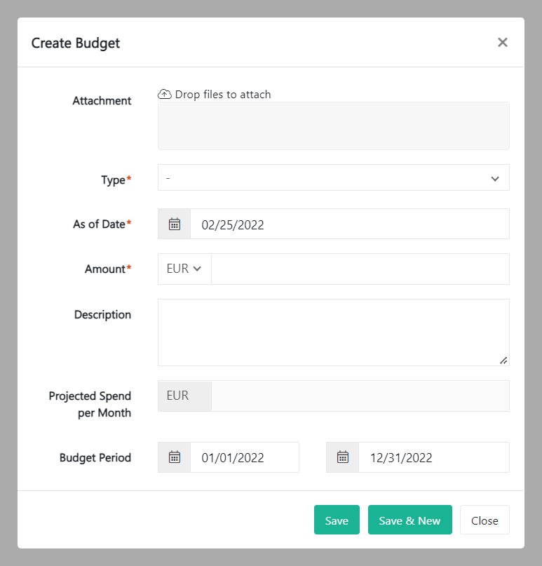 New Budget budget details